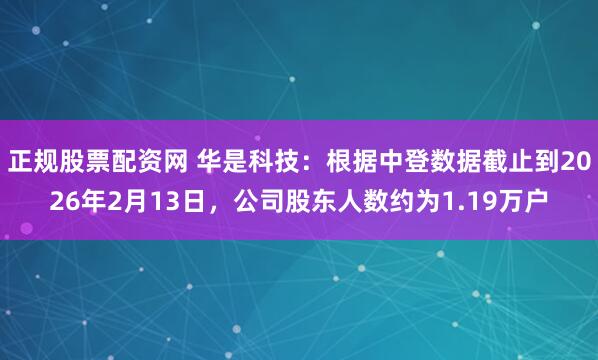 正规股票配资网 华是科技：根据中登数据截止到2026年2月13日，公司股东人数约为1.19万户