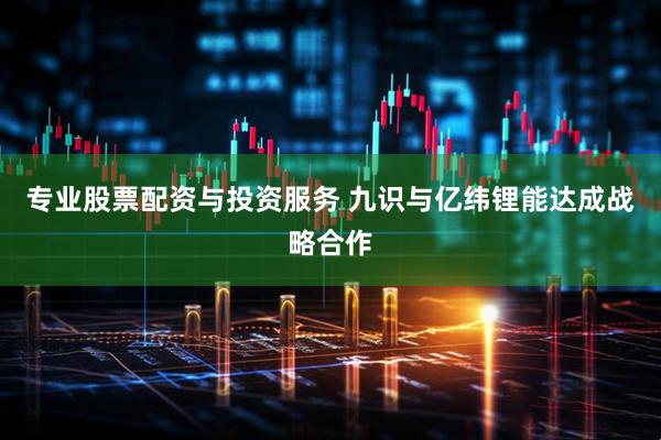 专业股票配资与投资服务 九识与亿纬锂能达成战略合作